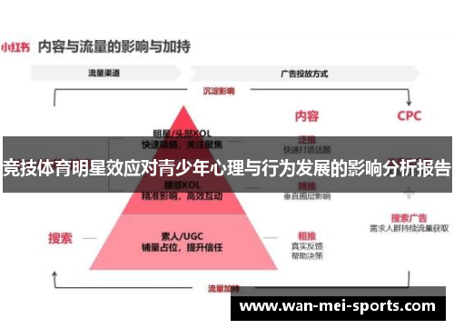 竞技体育明星效应对青少年心理与行为发展的影响分析报告